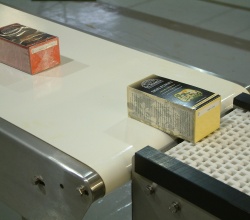 Plastic Belt Transfer Conveyor